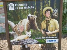 Hluboká_2 - Zoo_12